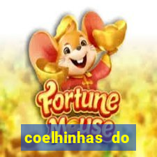 coelhinhas do brasil acompanhantes